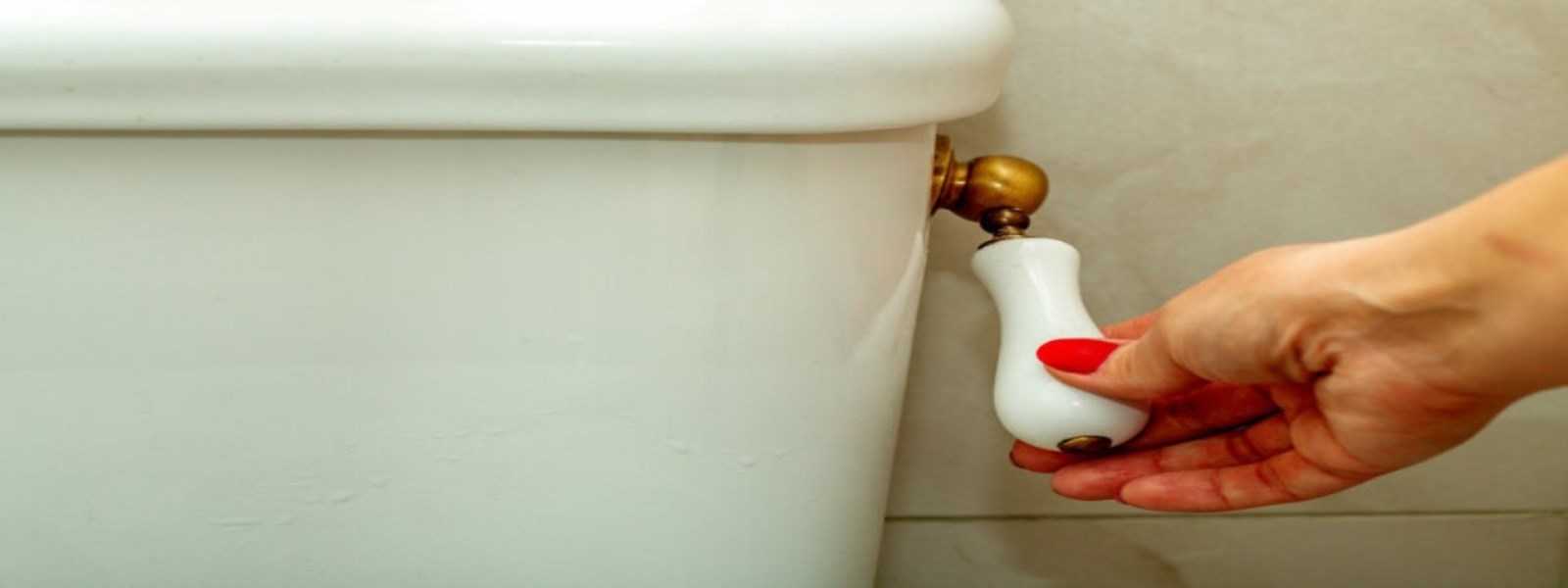 Flushing Toilet Image 