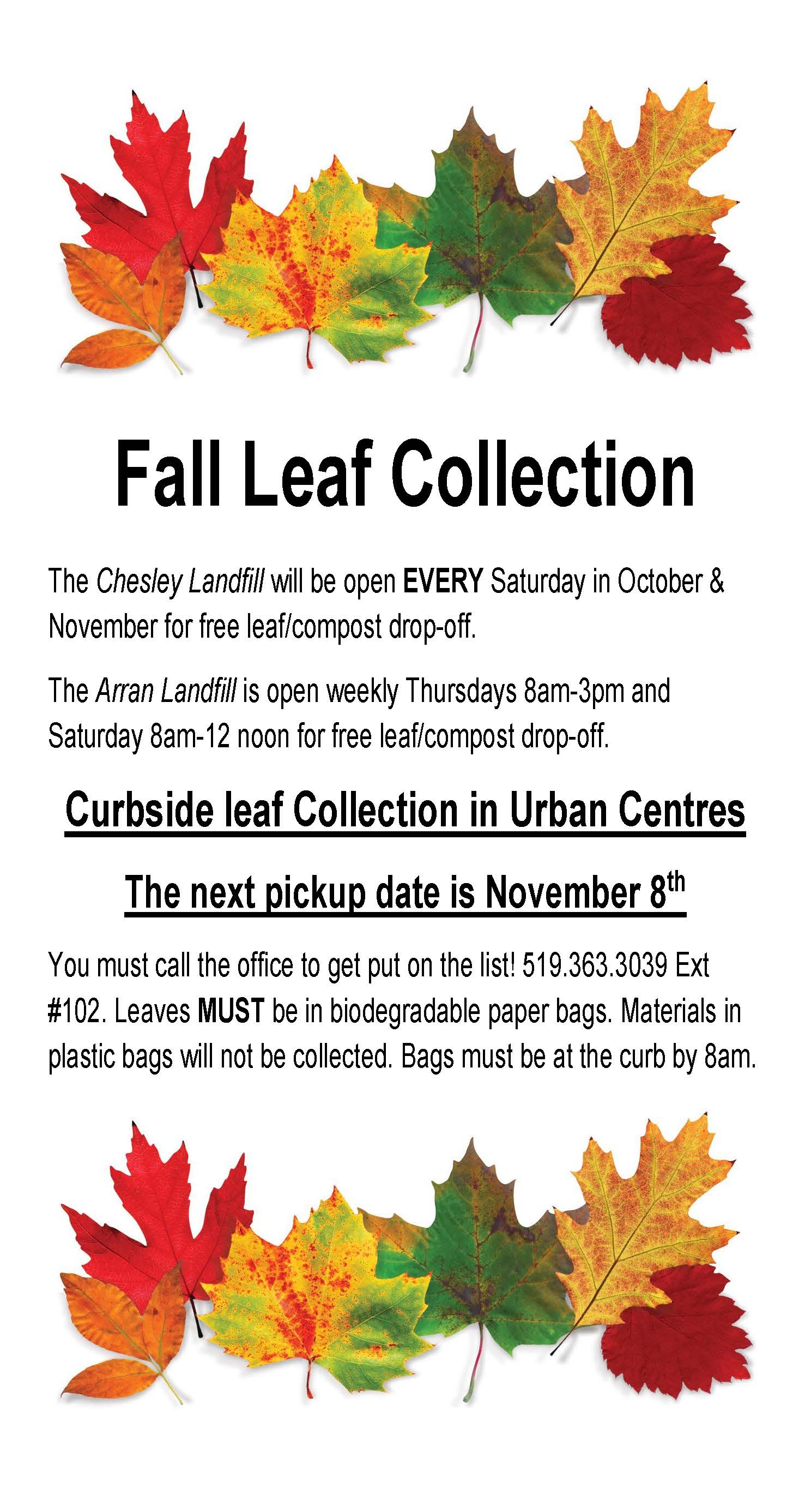 Fall Leaf Collection November 8 Flyer 