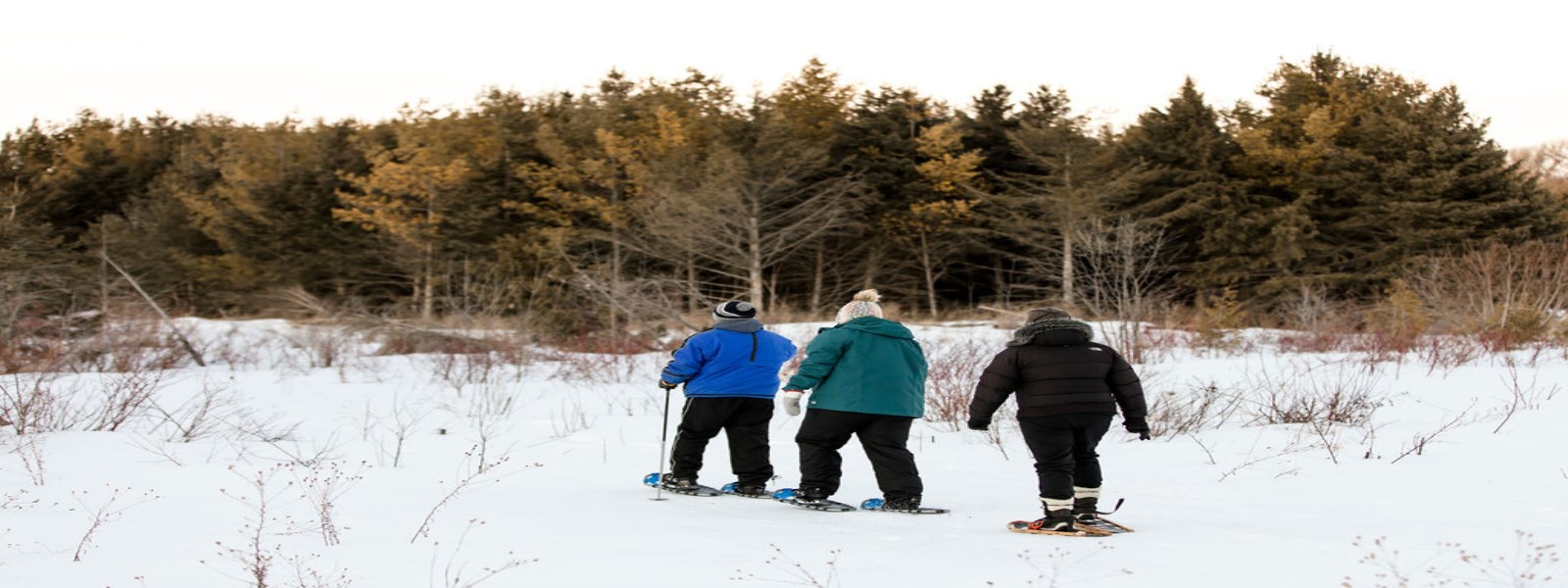 Snowshoeing in AE