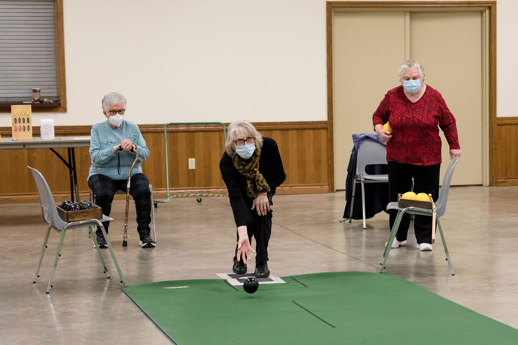 Carpet bowling