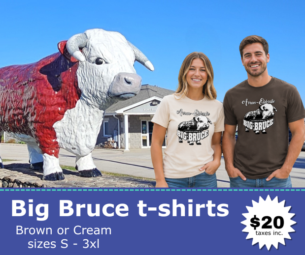 Big Bruce t-shirt on woman and man in front of the municipal office